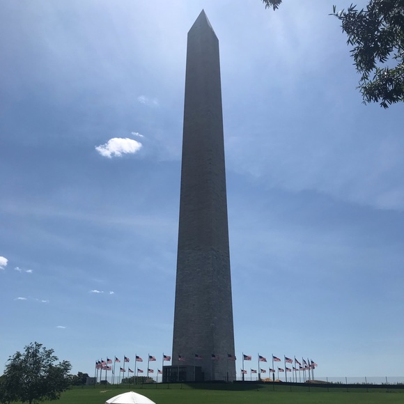 Meet your Posher, Elizabeth - Picture 1 of 1